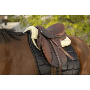 Amortisseur Equithème Teddy