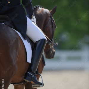 Accessoires de concours