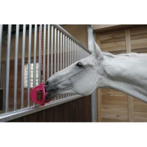 Bizzy Horse Bizzy Ball
