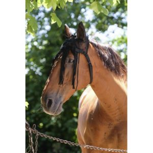 Bonnet Mesh Equitheme avec chasse-mouches