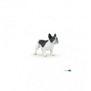 Bouledogue français noir et blanc