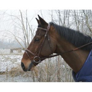Bridon Eric Thomas Hybrid Confort