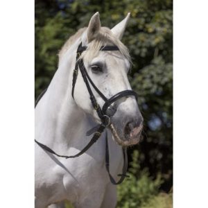 Bridon Norton Club cheval de trait