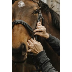 Bridon Norton Pro Apophyse