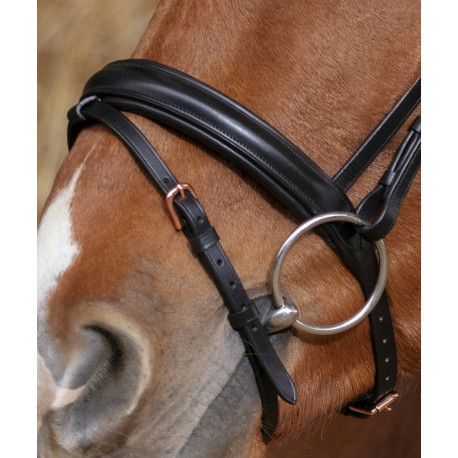 Bridon Norton Pro Gravure – Image 2