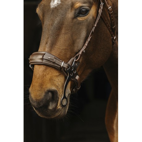 Bridon Norton Pro Hackamore – Image 4