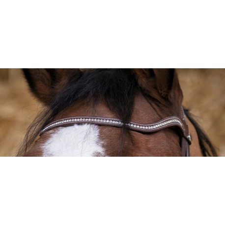 Bridon Norton Pro Miss – Image 3