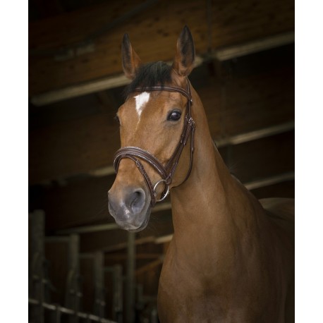 Bridon Norton Pro Rock – Image 2