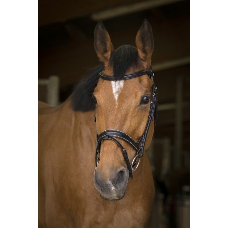 Bridon Norton Pro Rock – Image 5