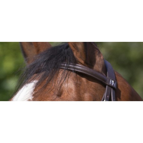 Bridon Riding World Muserolle combinée – Image 4