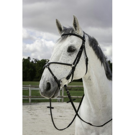 Bridon Riding World Muserolle croisée – Image 2