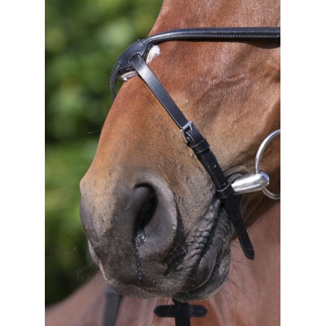 Bridon Riding World Muserolle croisée – Image 3