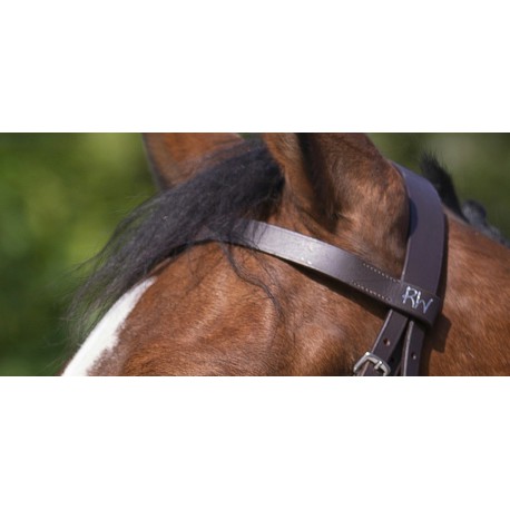 Bridon Riding World Muserolle Française – Image 4