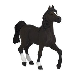 Cheval Arabe Papo