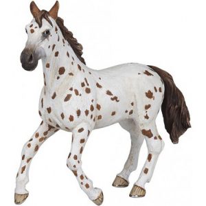 Jument Appaloosa Papo