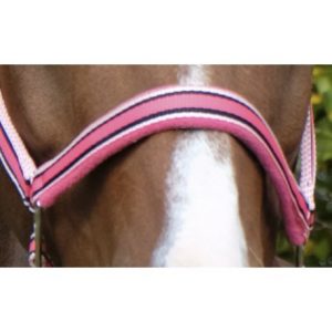 Licol Equitheme Ligne