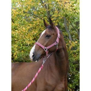 Licol Equitheme Ligne