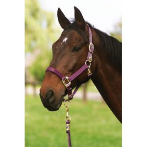 Licol Equithème Nylon