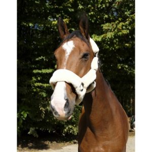 Licol Equitheme Teddy