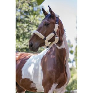 Licol Norton Full Mouton Synthétique