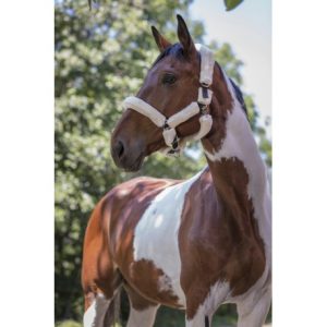 Licol Norton Full Mouton Synthétique