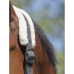 Licol Norton Mouton Synthétique Doux