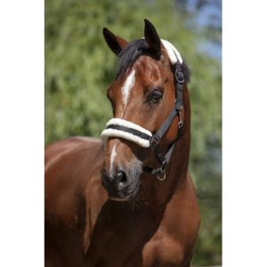 Licol Norton Mouton Synthétique Doux