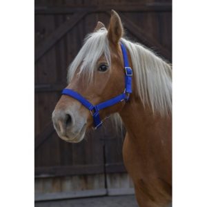 Licol Norton Pro Pour Cheval de Trait