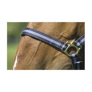 Licol Nylon Norton Doublé Cuir