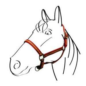 Licol Nylon Norton Doublé Cuir