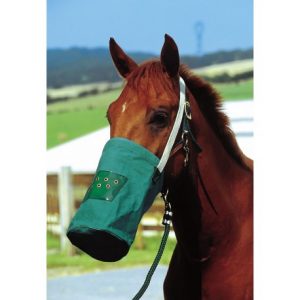 Musette Canvas Hippotonic