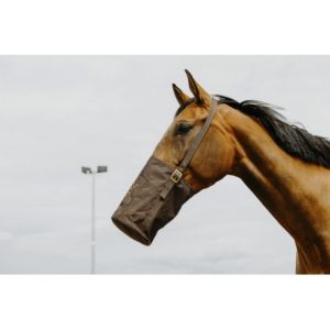Musette Hippotonic 600 deniers