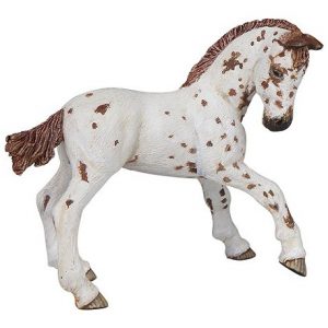 Poulain Appaloosa Papo