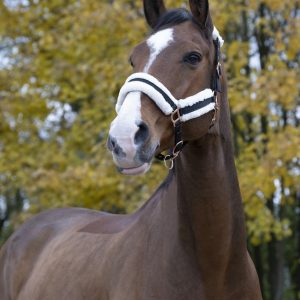 Licol Norton Confort