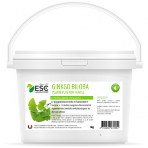 GINKGO BILOBA – Bien-être cheval et circulation sanguine – Plante pure