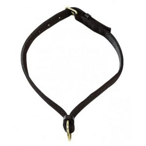 Collier Pour Chevaux Norton
