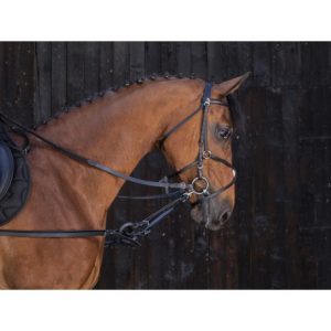 Enrênement Caoutchouc Riding World
