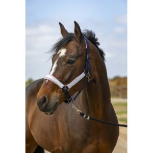 Licol Equitheme Nylon Check