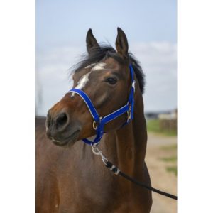 Licol Equitheme Nylon Light