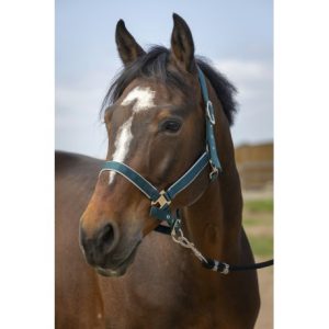 Licol Equitheme Nylon Light