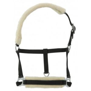 Licol Foal Riding World Mouton Synthétique