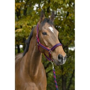 Licol+Longe Equitheme Satinée