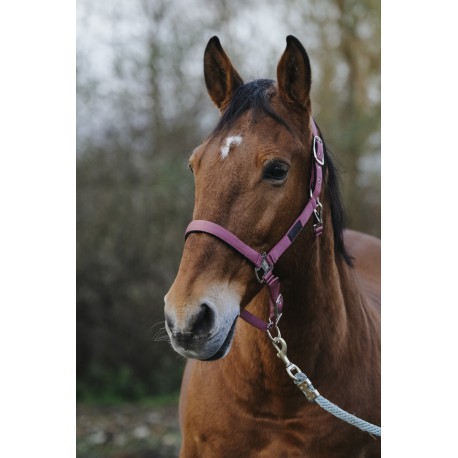 Licol Nylon Equitheme Spring – Image 6