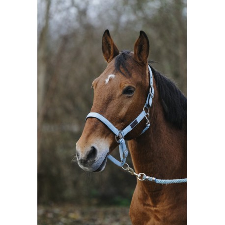 Licol Nylon Equitheme Spring – Image 8