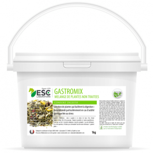 Gastromix Digestion