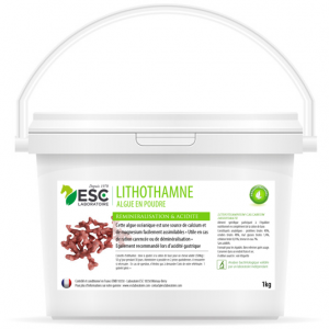 Lithothamne Reminéralisation et acidité gastrique cheval- plante pure