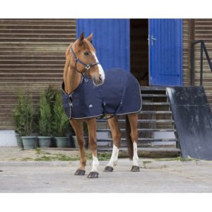 Chemise Equithème Chic