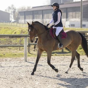 Gilet PRO SERIES « Piaffer »
