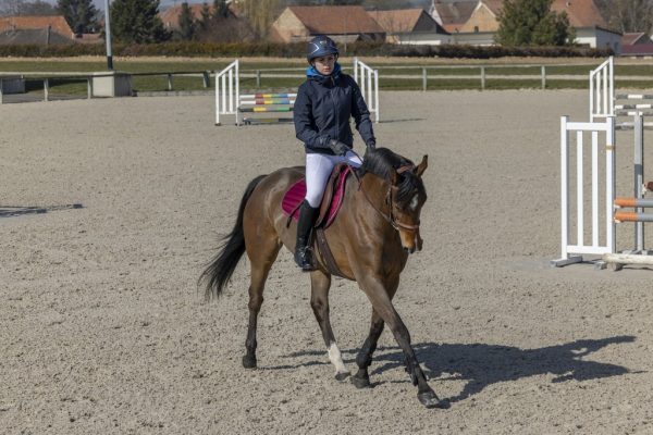 Blouson PRO SERIES "Equilibre" – Image 14