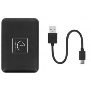 Batterie pour gilet chauffant EQUITHÈME – Charlie